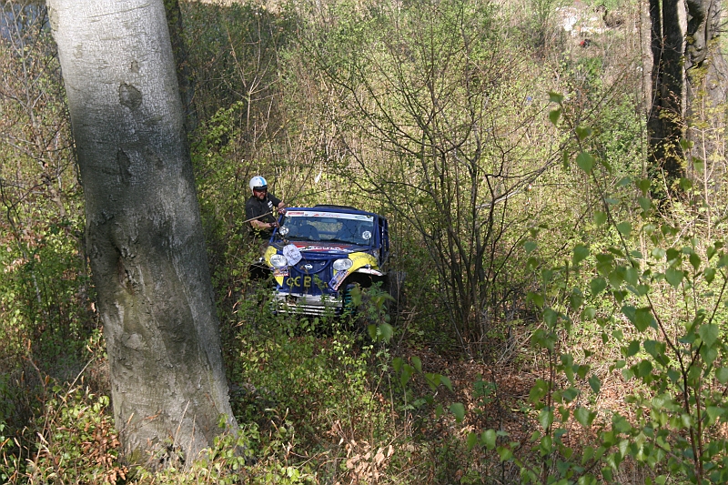 a 501